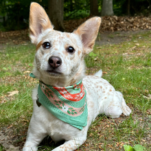 Load image into Gallery viewer, Small Aqua and Pink Snakes 14" Pocket Bandana