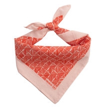 Load image into Gallery viewer, Cotton Bandana - Poison